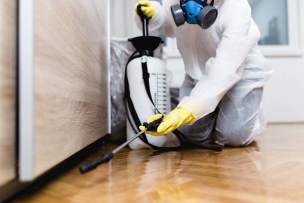 Best Flea Control Services  in Forest, OH