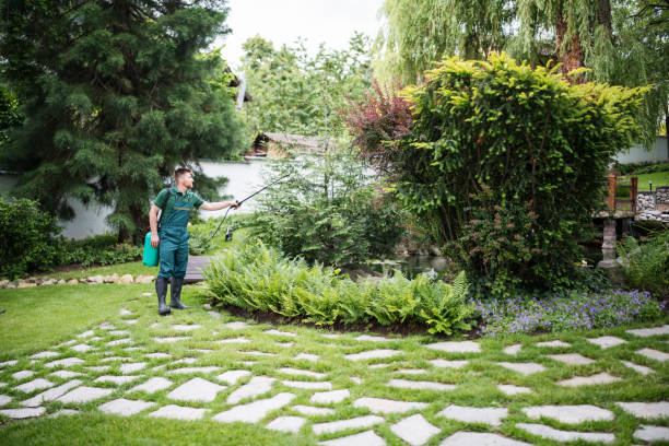 Best Exterminator Services  in Forest, OH