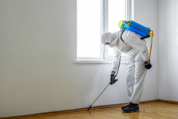 Best Pest Inspection Near Me  in Forest, OH