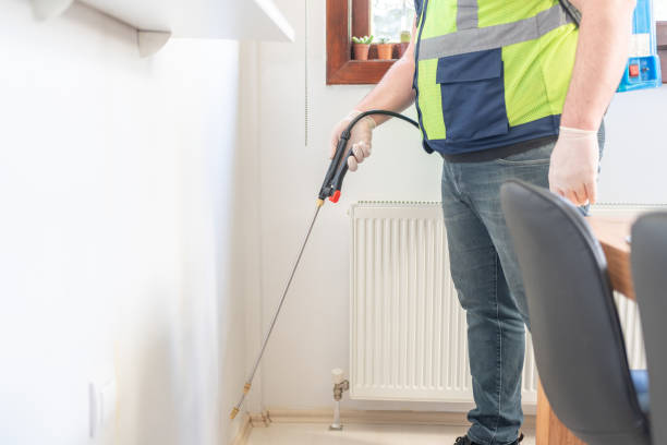 Best Ant Control Services  in Forest, OH