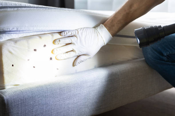 Best Pest Control Cost  in Forest, OH