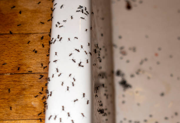 Forest, OH Pest Control Company